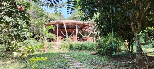 a garden with a bamboo house in the background at Mirador Jungle El Macuti in Rurrenabaque