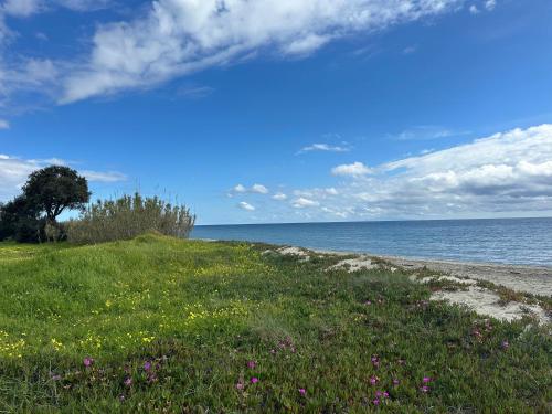 T3 résidence privée proche plage et piscine