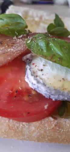 a close up of a sandwich with tomatoes and cheese at Villa Marie in Courçon