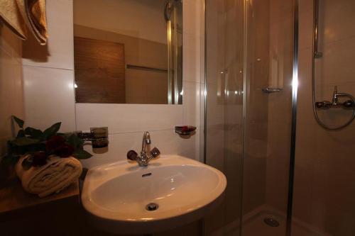 a bathroom with a sink and a shower at Appartement St. Hubertus in Flirsch