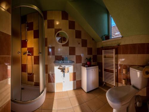 uma casa de banho com um chuveiro, um WC e um lavatório. em Ubytovanie u Štefana em Závažná Poruba