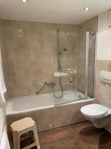 a bathroom with a shower and a toilet and a tub at Hotel Zum Stein Wellness & Genuss Resort in Oranienbaum-Wörlitz