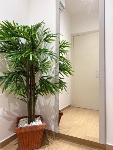 a plant in a large pot in a hallway at Casa Teresa Guest Rooms in Parghelia