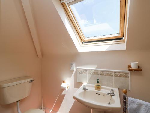 a bathroom with a toilet and a sink with a skylight at Knockroe Lodge in New Ross