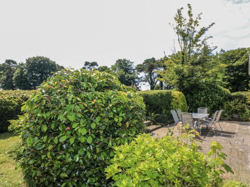 a large green bush with chairs and tables in a garden at Knockroe Lodge in New Ross