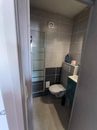 une petite salle de bain avec toilettes et douche dans l'établissement L'Escale Bleue, à Argelès-sur-Mer