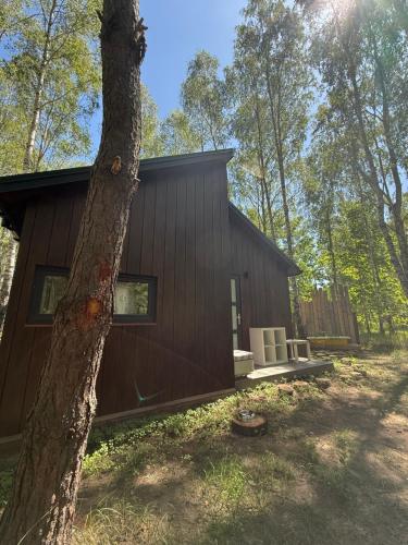a cabin in the woods with a tree at WieloHome in Wielogóra