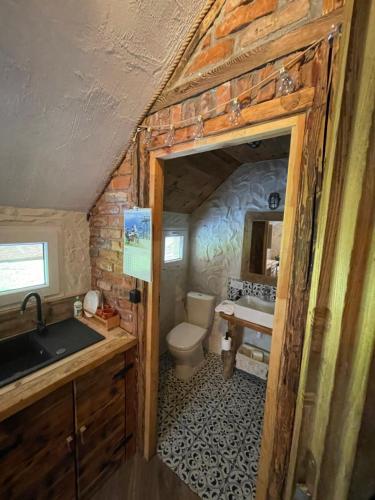 Uherce MineralneにあるMyczkowianka Sadybaのトイレと洗面台のある小さなバスルーム