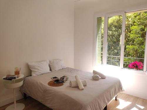 2 bedroom apartment in the city center photo 2