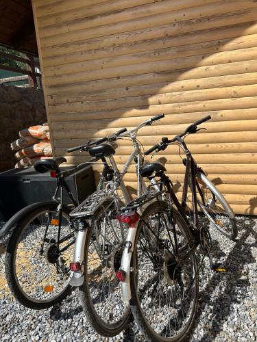 Attività di ciclismo presso il lodge o nelle vicinanze