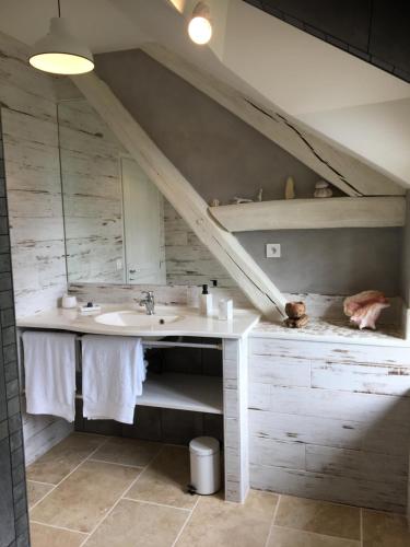 un bagno con lavandino e specchio di Le Moulin Chevillon a Cercy-la-Tour