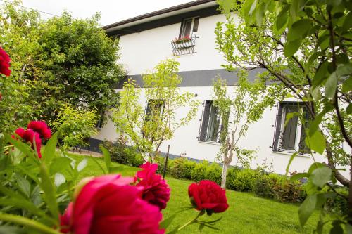 Jardín al aire libre en Yuzhniy Dvorik