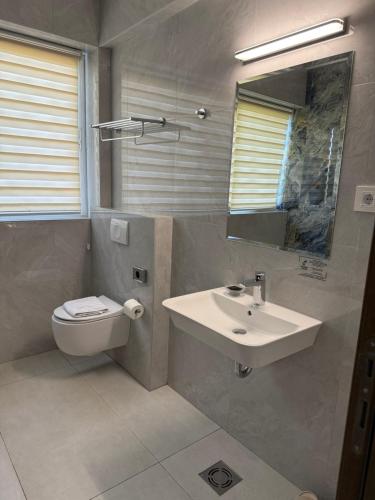 a bathroom with a sink and a toilet and a mirror at ForS Resort & Spa in Belgrade