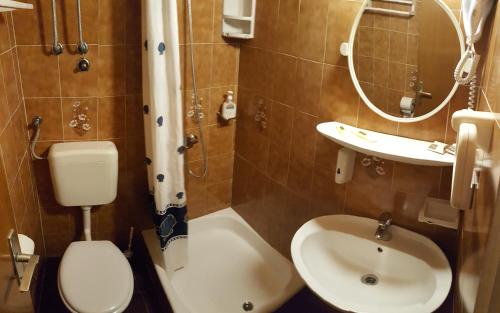 a bathroom with a toilet and a sink at Apartments Bajo - FREE PARKING in Dubrovnik