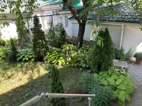 Ein Garten an der Unterkunft Hotel Lidia