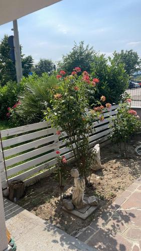 a small tree in front of a white fence at Madonna dell'ancora in Sassuolo
