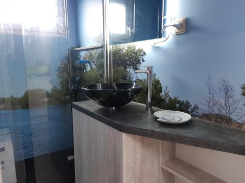 un bagno con un lavandino a ciotola su un bancone di Hausboot-schwimmendes-Ferienhaus-im-Havelbogen-Haus-auf-dem-Wasser a Kützkow
