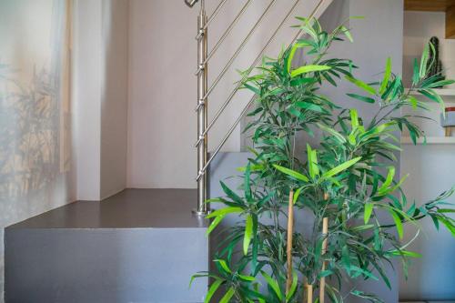 Galería fotográfica de P&P Suite Tiraboschi en Bergamo