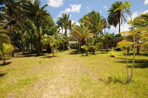 a field of grass with palm trees in a park at Villa Philibert in Riambel