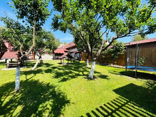 a yard with two trees and a picnic table at Pensiunea Melinda in Praid