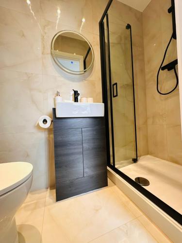 a bathroom with a shower and a sink and a toilet at R4 - Luxury fully Self-Contained Studio with Private Bathroom and Kitchen in Halesowen