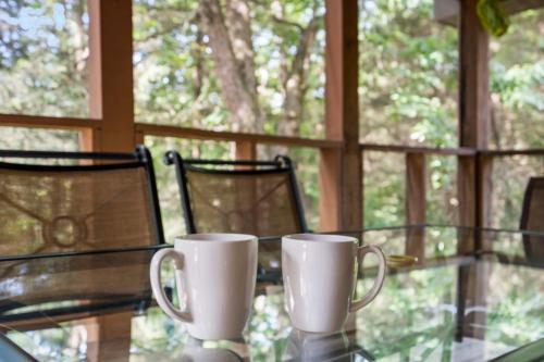 two coffee cups sitting on a glass table on a porch at Baldknobber Ridge Escape - West Branson Cabin in Branson West