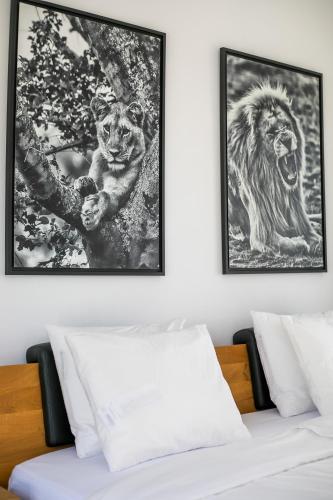 Ένα ή περισσότερα κρεβάτια σε δωμάτιο στο Villa Clara