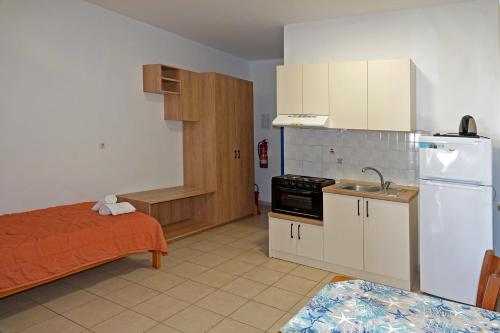 a small kitchen with a sink and a refrigerator at Aeriko Hotel Apartments in Arvanitochori
