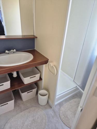 une salle de bain avec un lavabo et une douche dans l'établissement Mobil-home 4 personnes, à Bec-de-Mortagne