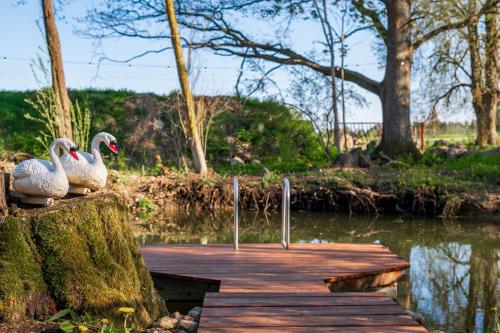 two swans are sitting on a wooden dock at Luigepesa Puhkemaja - Swan Nest dome house with sauna and pond in Järtsaare