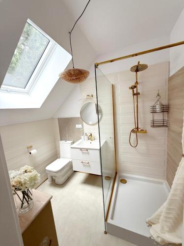 a bathroom with a shower and a toilet at Apartament Szyszka 2 in Rogowo