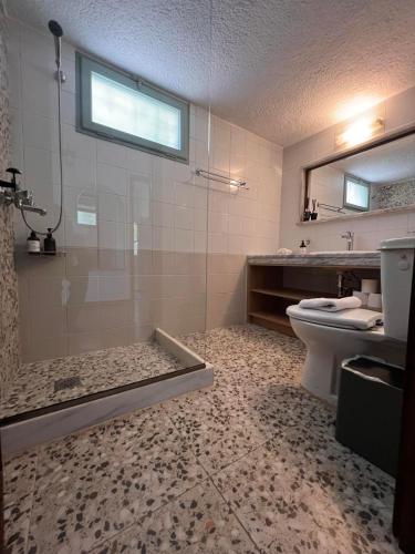 a bathroom with a shower and a toilet and a sink at Gioma Garden Villas in Istron