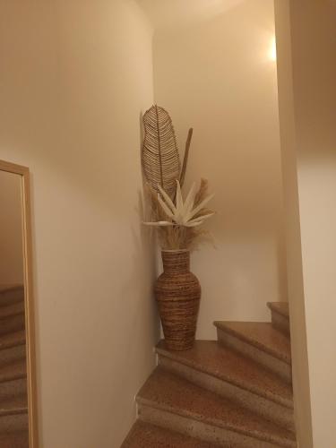a plant in a vase sitting on some stairs at Entre ciel et bord de mer in Saintes-Maries-de-la-Mer