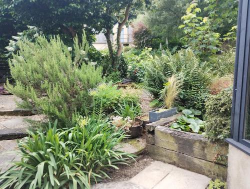 若瑟兰La Dame aux Camélias的相册照片