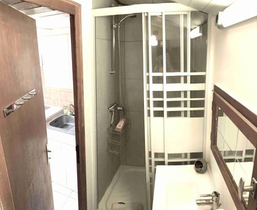La petite salle de bains est pourvue d'une douche et d'un lavabo. dans l'établissement Studio ITALY, à Chambéry