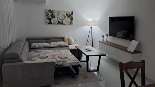 Bubi Apartment في غيفيغليا: غرفة معيشة بها أريكة وطاولة