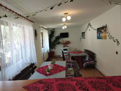 Posezení v ubytování Cabana Dănuțza