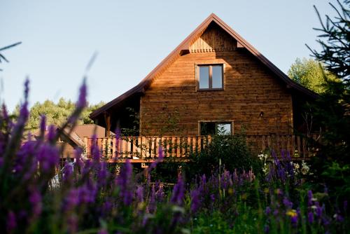Dom Buczynowy i Buczynowe Jurty, Natura, relaks, las, Beskid Niski, góry