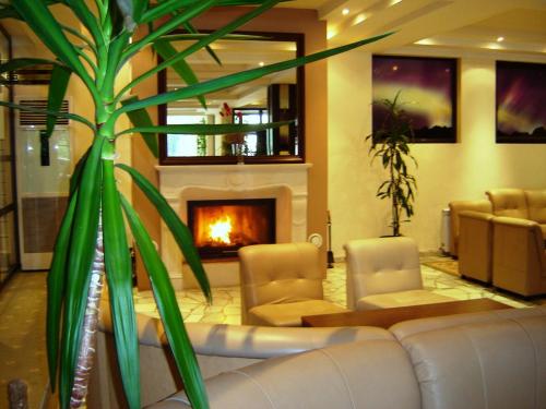 Una sala de estar con un sofá y una chimenea. en Finlandia Hotel, en Pamporovo