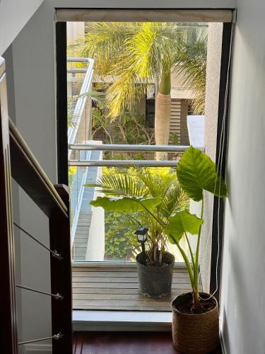 Un balcón o terraza en Luxury Oceanfront Apt with Private Pool - 3BR