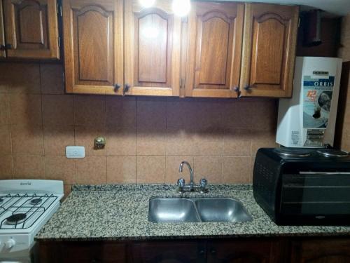 eine Küchentheke mit Spüle und Mikrowelle in der Unterkunft Leo IV salta 636 4F in San Fernando del Valle de Catamarca