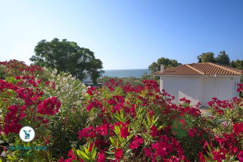 a garden with pink flowers in front of a building at La SkalaVista in Skala Kefalonias