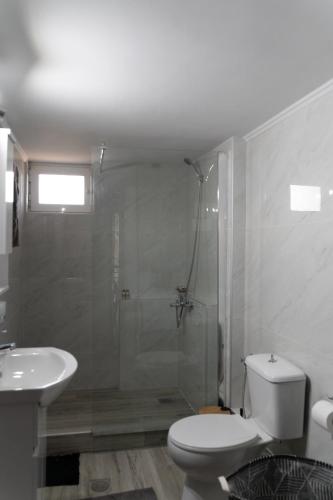 a bathroom with a shower and a toilet and a sink at matarooms in Preveza