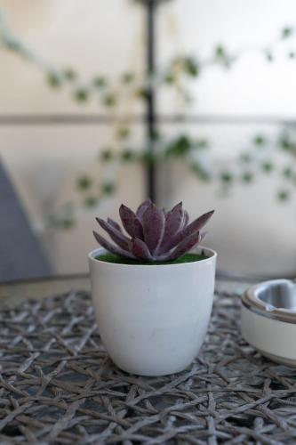 a purple flower in a white bowl on a table at matarooms in Preveza