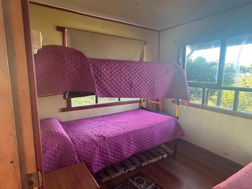 a small bedroom with a bunk bed with purple sheets at Cabañas Encanto Quenacano 