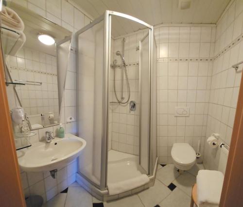 a bathroom with a shower and a sink and a toilet at Ferienwohnung "Kräuterhof" in Ringelai
