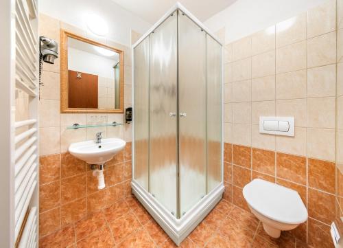 a bathroom with a shower and a toilet and a sink at Hotel U Martina in Rožmberk nad Vltavou