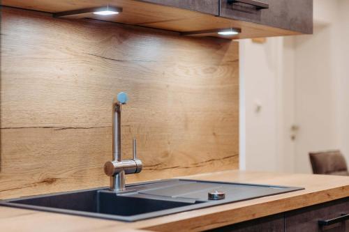 a kitchen counter with a sink and a counter top at Silberleithen Estate in Biberwier