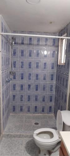 a bathroom with a toilet and a shower at Casa frank in Valente Díaz y La Loma