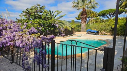 une clôture avec des fleurs violettes à côté d'une piscine dans l'établissement tourillonne, aux Issambres